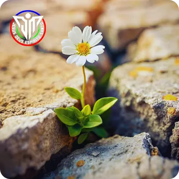 Palavra do dia 3: Esperança em Tempos Difíceis tempos-dificeis-JesusDeusEspirito.com.br