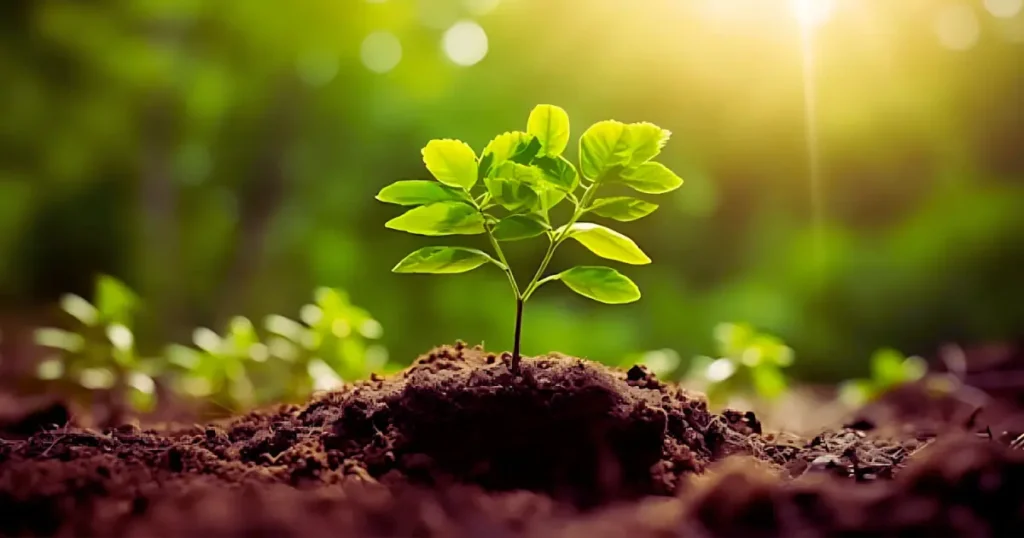 Palavra do dia 24: Recomeçar com Fé recomecar-com-fe-JesusDeusEspirito.com.br